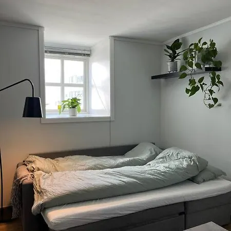 アパート Cozy Ground Floor トロムソ