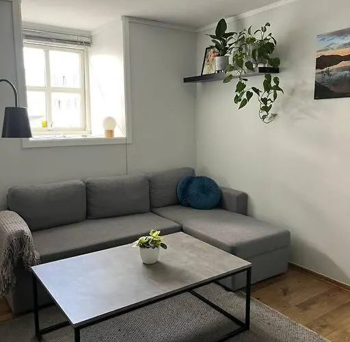 Apartament Cozy Ground Floor